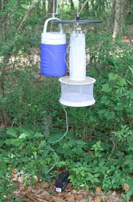 CDC mosquito trap set out in woods