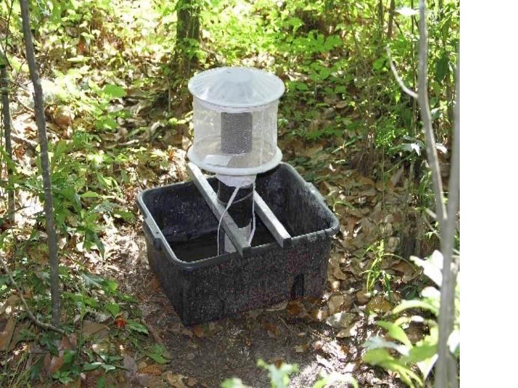 Gravid mosquito trap set out for collection